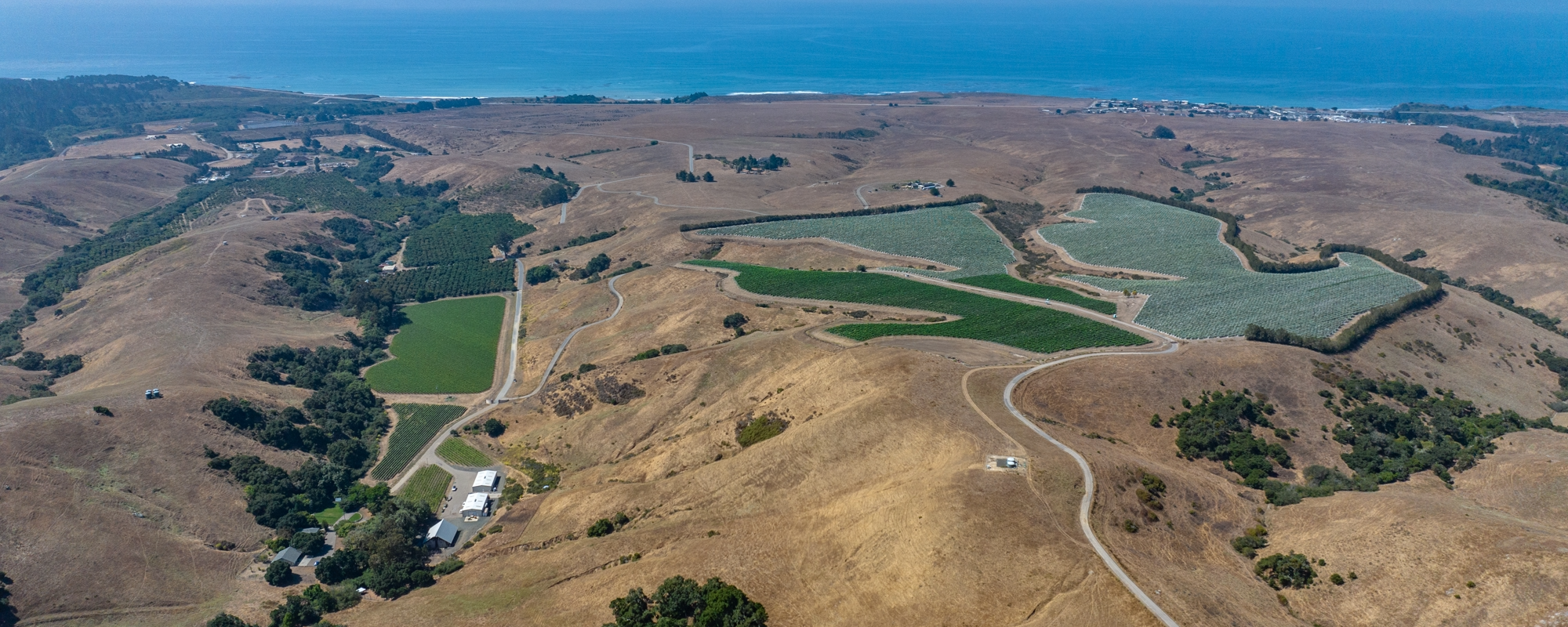 San Simeon Ranch & Vineyard